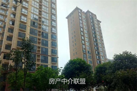 帝邦小区精装2室2厅1卫附房19平米